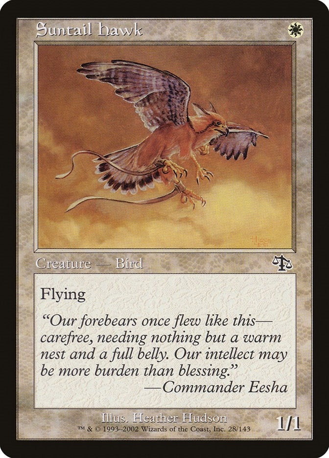 Image for Suntail Hawk (Judgment) (28) - Magic: The Gathering