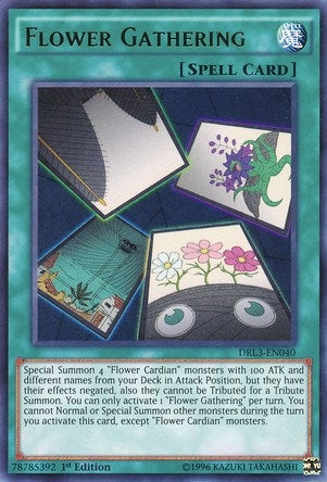 Image for Flower Gathering (Dragons of Legend: Unleashed) (DRL3-EN040) - YuGiOh