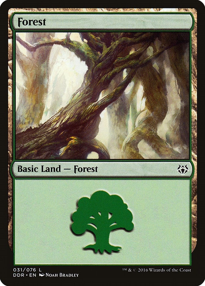 Image for Forest (031) (Duel Decks: Nissa vs. Ob Nixilis) (31) - Magic: The Gathering