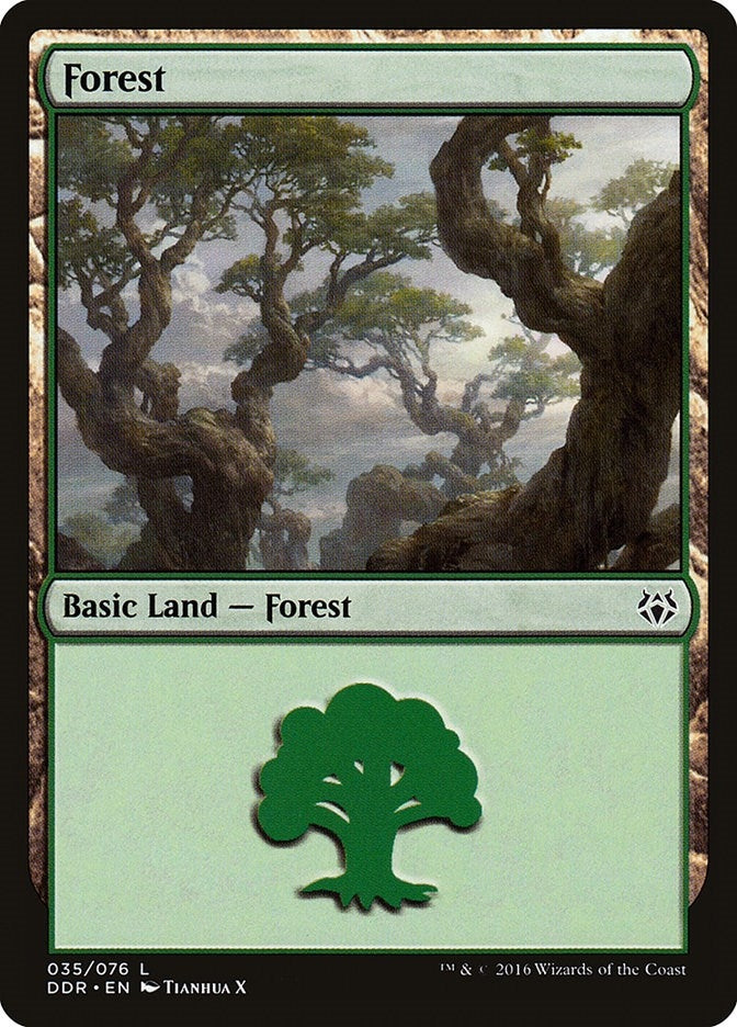 Image for Forest (035) (Duel Decks: Nissa vs. Ob Nixilis) (35) - Magic: The Gathering