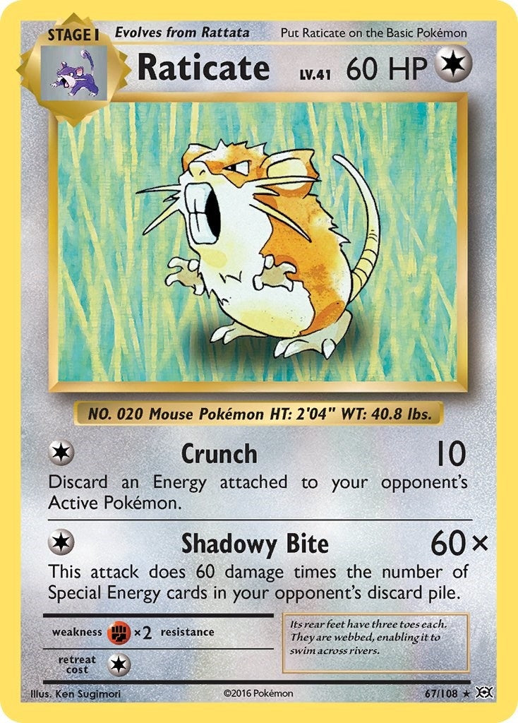 Image for Raticate (XY - Evolutions) (67/108) - Pokemon