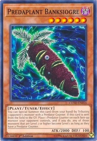Image for Predaplant Banksiogre (Code of the Duelist) (COTD-EN016) - YuGiOh