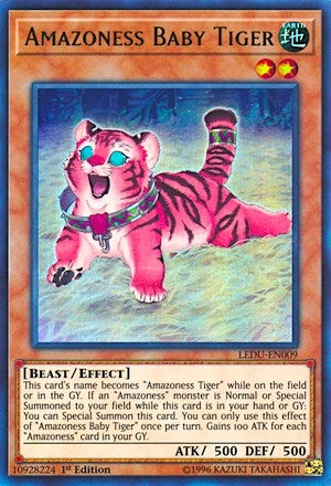 Image for Amazoness Baby Tiger (Legendary Duelists) (LEDU-EN009) - YuGiOh