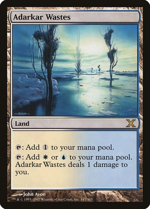 Image for Adarkar Wastes (10th Edition) (347) - Magic: The Gathering