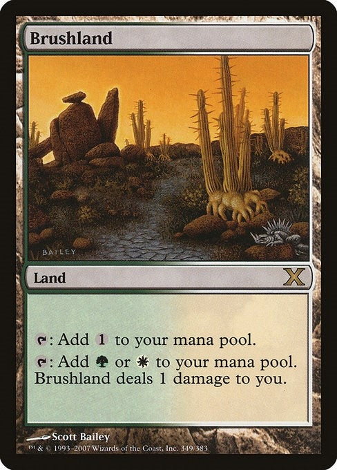 Image for Brushland (10th Edition) (349) - Magic: The Gathering