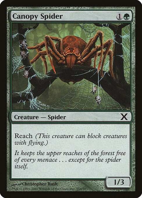 Image for Canopy Spider (10th Edition) (254) - Magic: The Gathering