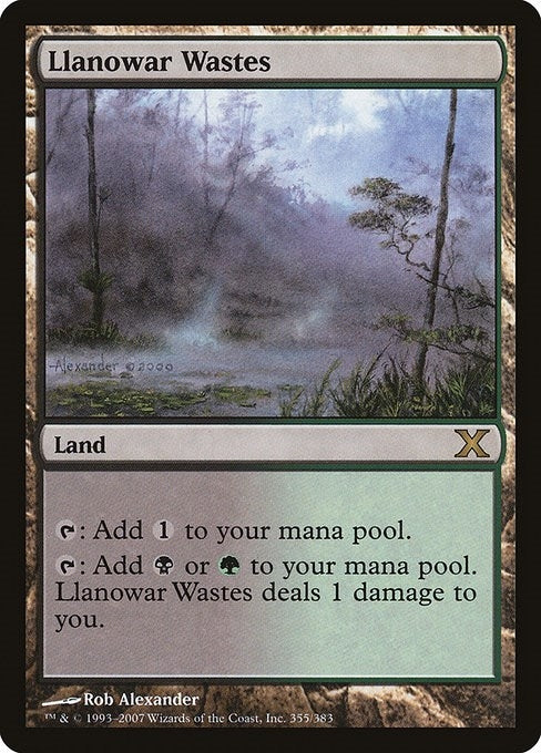 Image for Llanowar Wastes (10th Edition) (355) - Magic: The Gathering