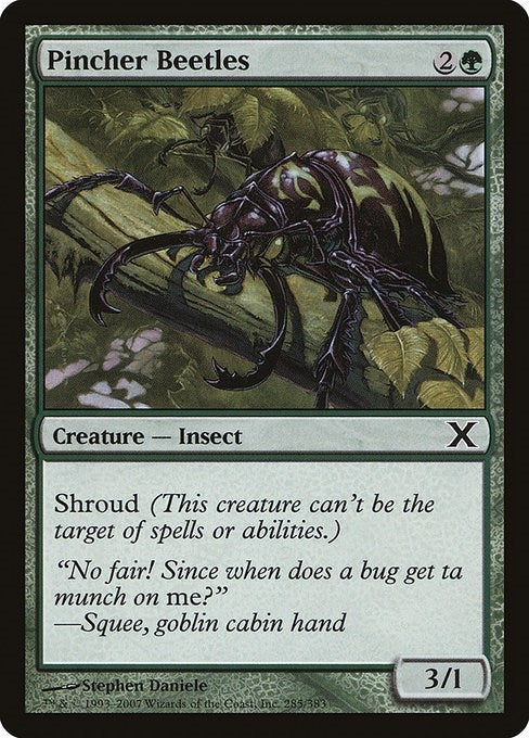 Image for Pincher Beetles (10th Edition) (285) - Magic: The Gathering