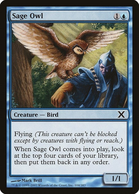 Image for Sage Owl (10th Edition) (104) - Magic: The Gathering