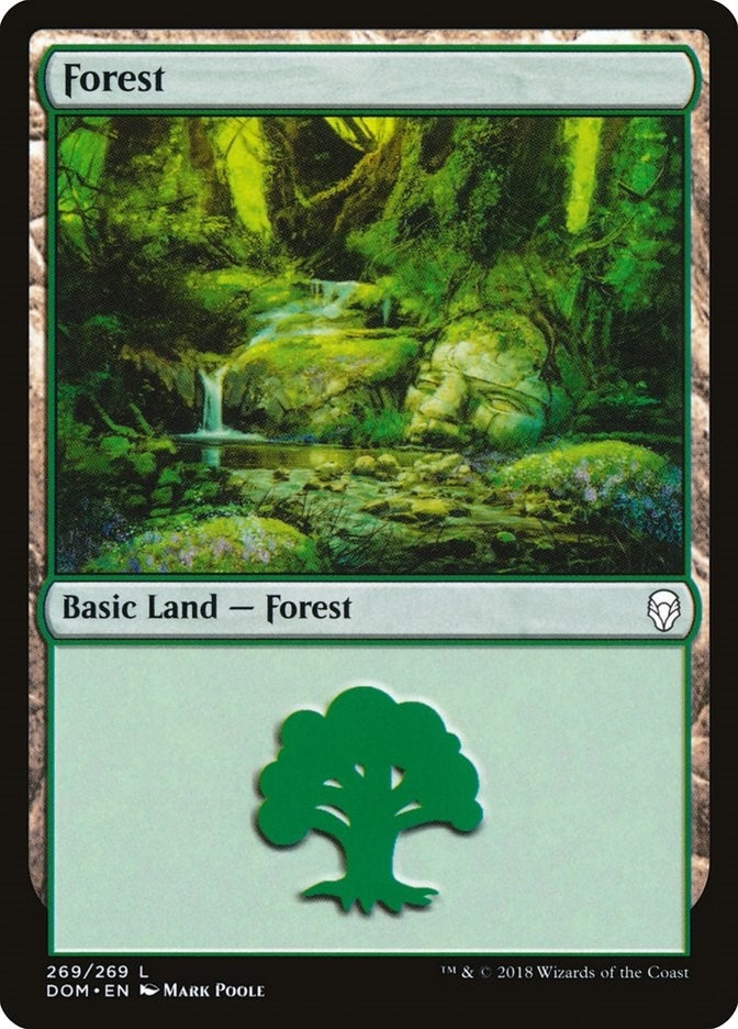 Image for Forest (269) (Dominaria) (269) - Magic: The Gathering