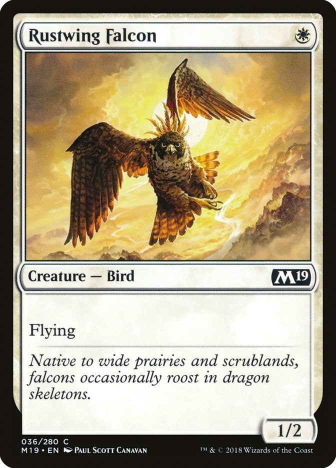 Image for Rustwing Falcon (Core Set 2019) (36) - Magic: The Gathering