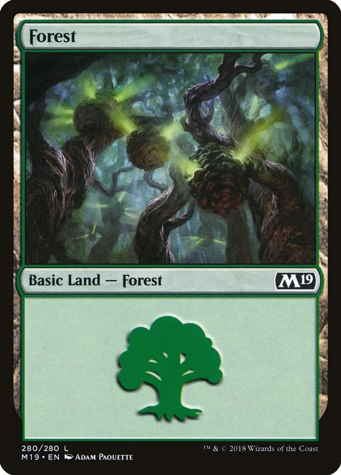 Image for Forest (280) (Core Set 2019) (280) - Magic: The Gathering