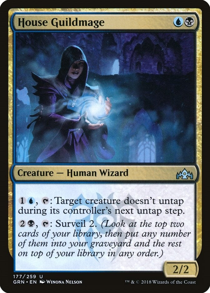 Image for House Guildmage (Guilds of Ravnica) (177) - Magic: The Gathering