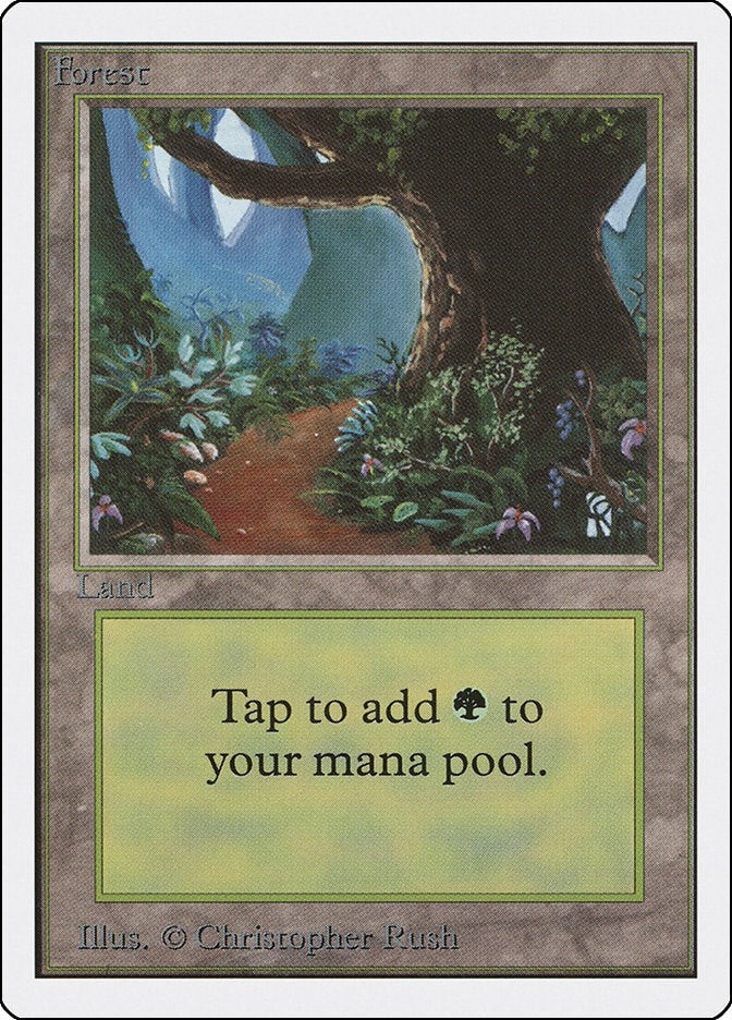 Image for Forest (B) (Unlimited Edition) - Magic: The Gathering