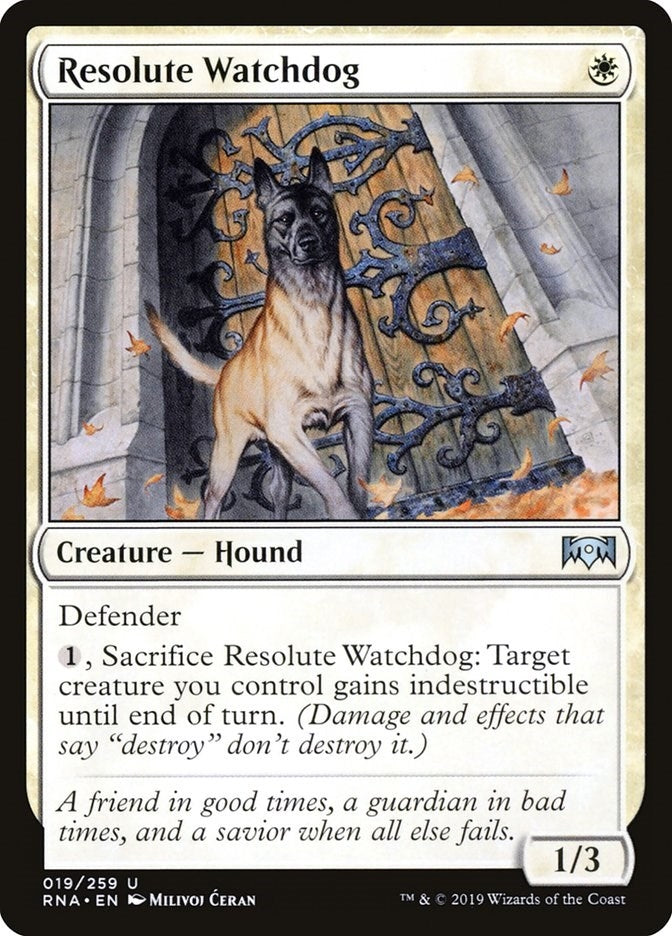 Image for Resolute Watchdog (Ravnica Allegiance) (19) - Magic: The Gathering