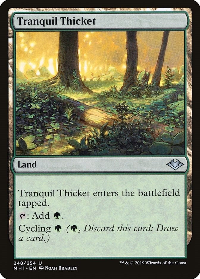 Image for Tranquil Thicket (Modern Horizons) (248) - Magic: The Gathering