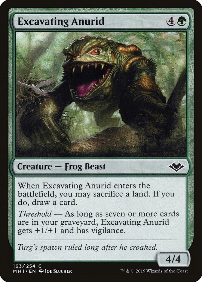 Image for Excavating Anurid (Modern Horizons) (163) - Magic: The Gathering