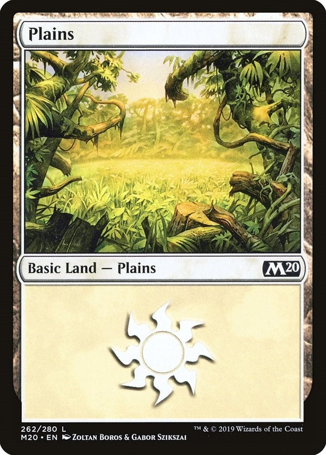 Image for Plains (262) (Core Set 2020) (262) - Magic: The Gathering