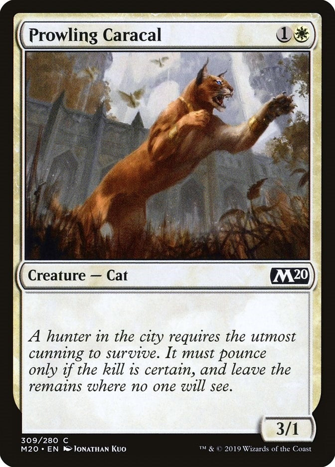 Image for Prowling Caracal (Core Set 2020) (309) - Magic: The Gathering