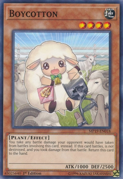 Image for Boycotton (2019 Gold Sarcophagus Tin Mega Pack) (MP19-EN018) - YuGiOh
