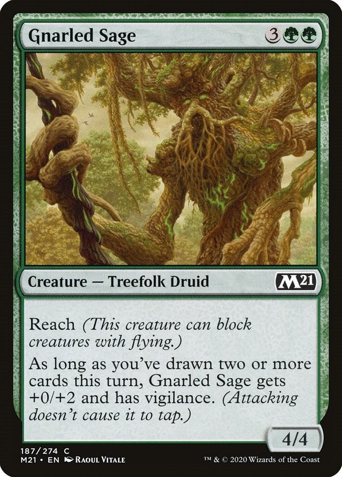 Image for Gnarled Sage (Core Set 2021) (187) - Magic: The Gathering