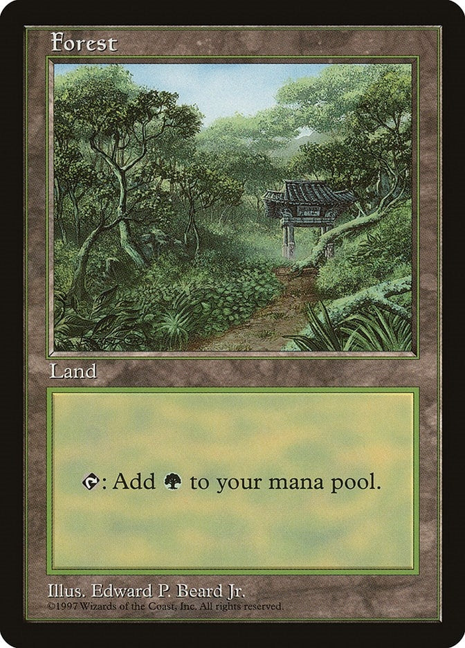 Image for Forest - Clear Pack (Beard, Jr.) (APAC Lands) - Magic: The Gathering