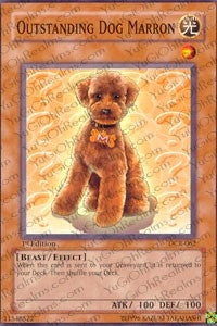 Image for Outstanding Dog Marron (Dark Crisis) (DCR-062) - YuGiOh