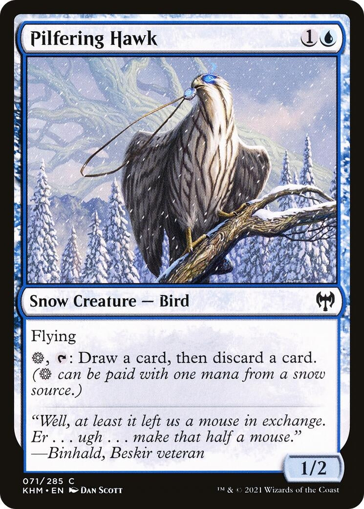 Image for Pilfering Hawk (Kaldheim) (71) - Magic: The Gathering