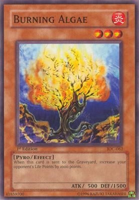 Image for Burning Algae (Invasion of Chaos) (IOC-062) - YuGiOh