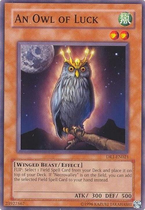 Image for An Owl of Luck (Dark Revelation Volume 1) (DR1-EN021) - YuGiOh