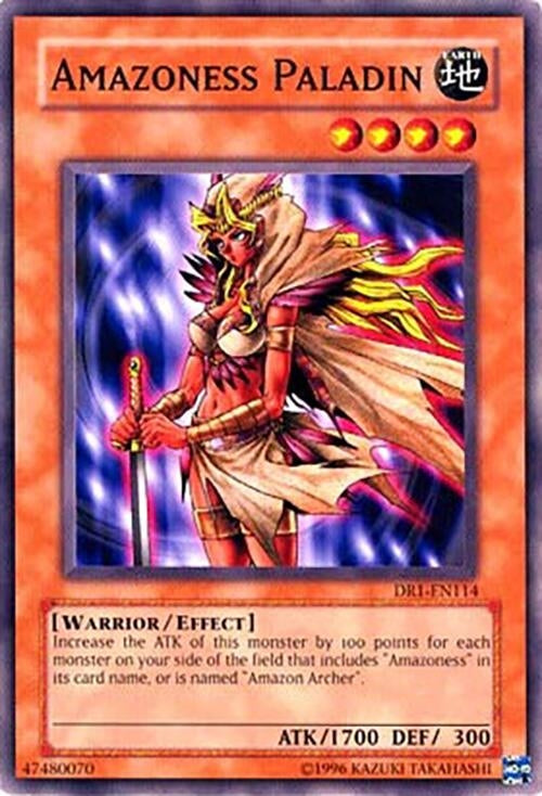 Image for Amazoness Paladin (Dark Revelation Volume 1) (DR1-EN114) - YuGiOh