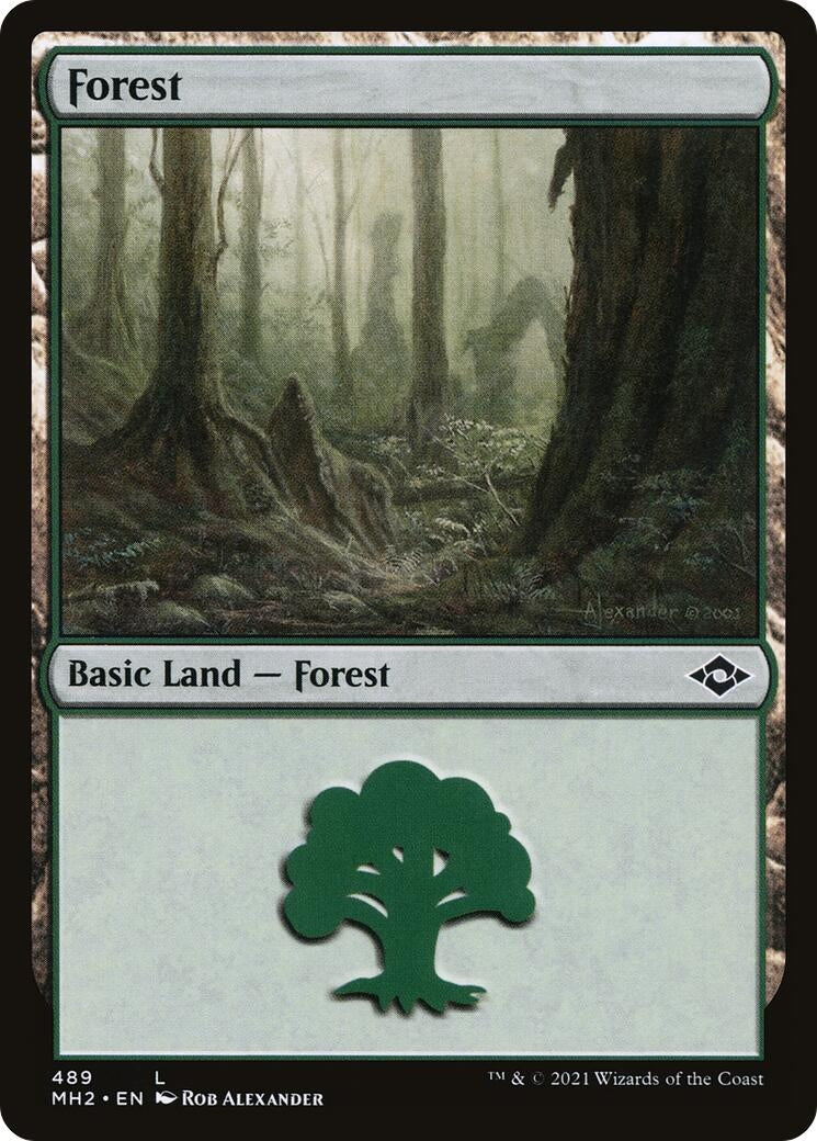 Image for Forest (489) (Modern Horizons 2) (489) - Magic: The Gathering