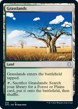 Image for Grasslands (Commander: Adventures in the Forgotten Realms) (242) - Magic: The Gathering