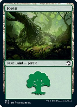 Image for Forest (384) (Innistrad: Midnight Hunt) (384) - Magic: The Gathering