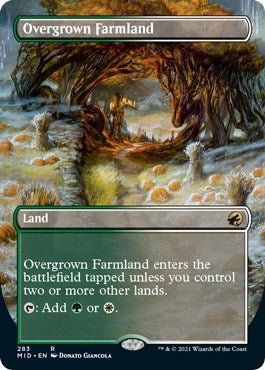 Image for Overgrown Farmland (Borderless) (Innistrad: Midnight Hunt) (283) - Magic: The Gathering