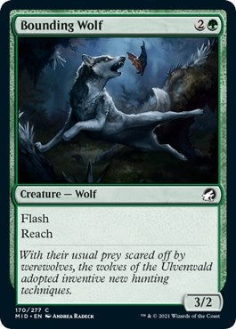 Image for Bounding Wolf (Innistrad: Midnight Hunt) (170) - Magic: The Gathering
