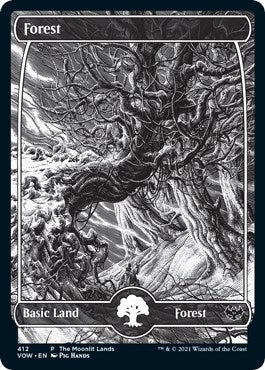 Image for Forest (Moonlit Land) (Foil Etched) (WPN & Gateway Promos) (412) - Magic: The Gathering