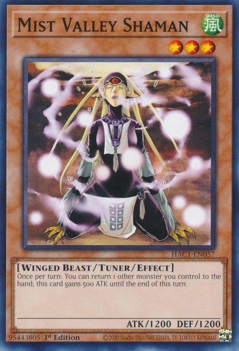 Image for Mist Valley Shaman (Hidden Arsenal: Chapter 1) (HAC1-EN057) - YuGiOh