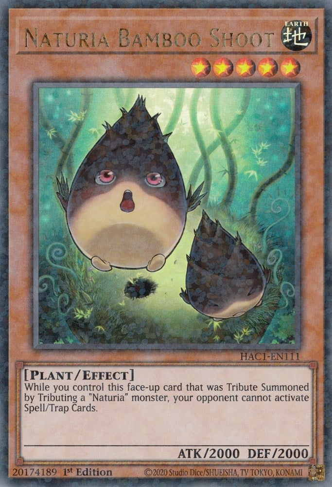 Image for Naturia Bamboo Shoot (Duel Terminal) (Hidden Arsenal: Chapter 1) (HAC1-EN111) - YuGiOh