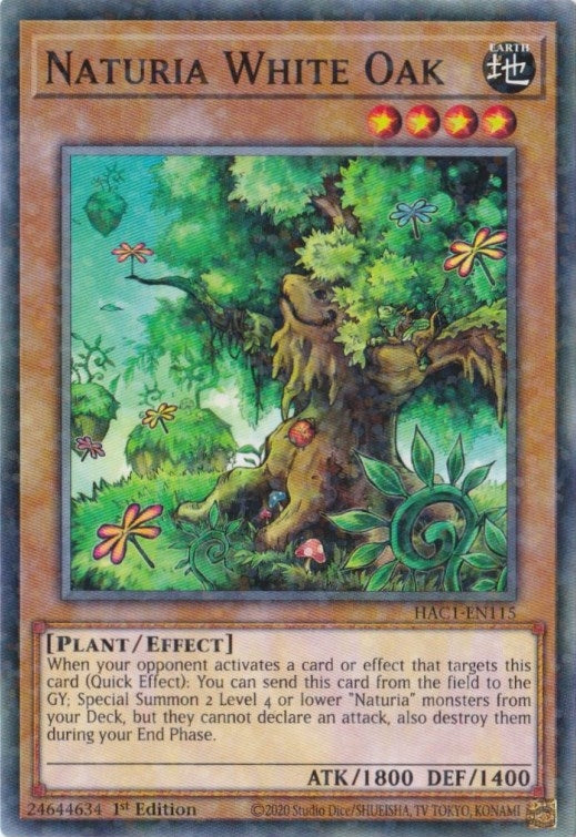 Image for Naturia White Oak (Duel Terminal) (Hidden Arsenal: Chapter 1) (HAC1-EN115) - YuGiOh