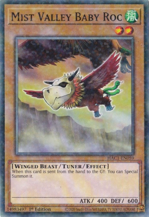 Image for Mist Valley Baby Roc (Duel Terminal) (Hidden Arsenal: Chapter 1) (HAC1-EN059) - YuGiOh
