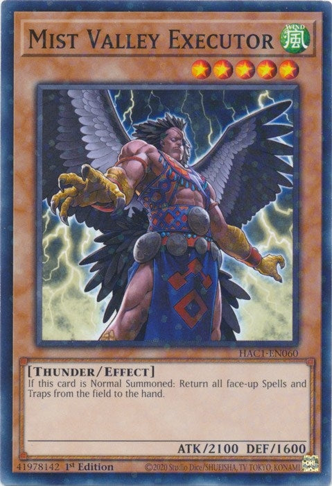 Image for Mist Valley Executor (Duel Terminal) (Hidden Arsenal: Chapter 1) (HAC1-EN060) - YuGiOh