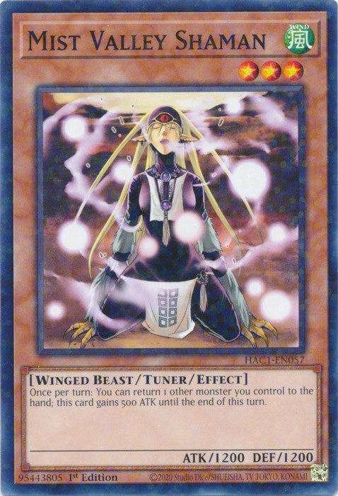 Image for Mist Valley Shaman (Duel Terminal) (Hidden Arsenal: Chapter 1) (HAC1-EN057) - YuGiOh