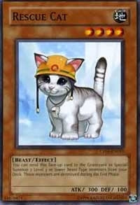 Image for Rescue Cat (Champion Pack 5) (CP05-EN015) - YuGiOh
