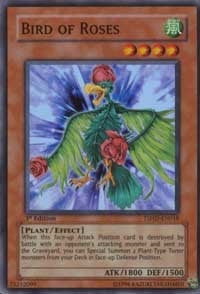 Image for Bird of Roses (The Shining Darkness) (TSHD-EN018) - YuGiOh