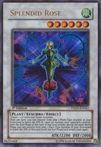 Image for Splendid Rose (The Shining Darkness) (TSHD-EN043) - YuGiOh