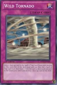Image for Wild Tornado (Starter Deck: Duelist Toolbox) (5DS3-EN029) - YuGiOh