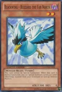 Image for Blackwing - Blizzard the Far North (Gold Series 3) (GLD3-EN024) - YuGiOh