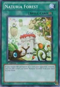 Image for Naturia Forest (Duelist Revolution) (DREV-EN051) - YuGiOh