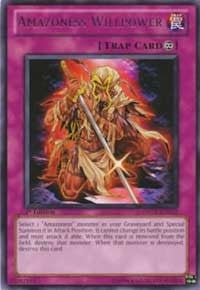 Image for Amazoness Willpower (Duelist Revolution) (DREV-EN072) - YuGiOh